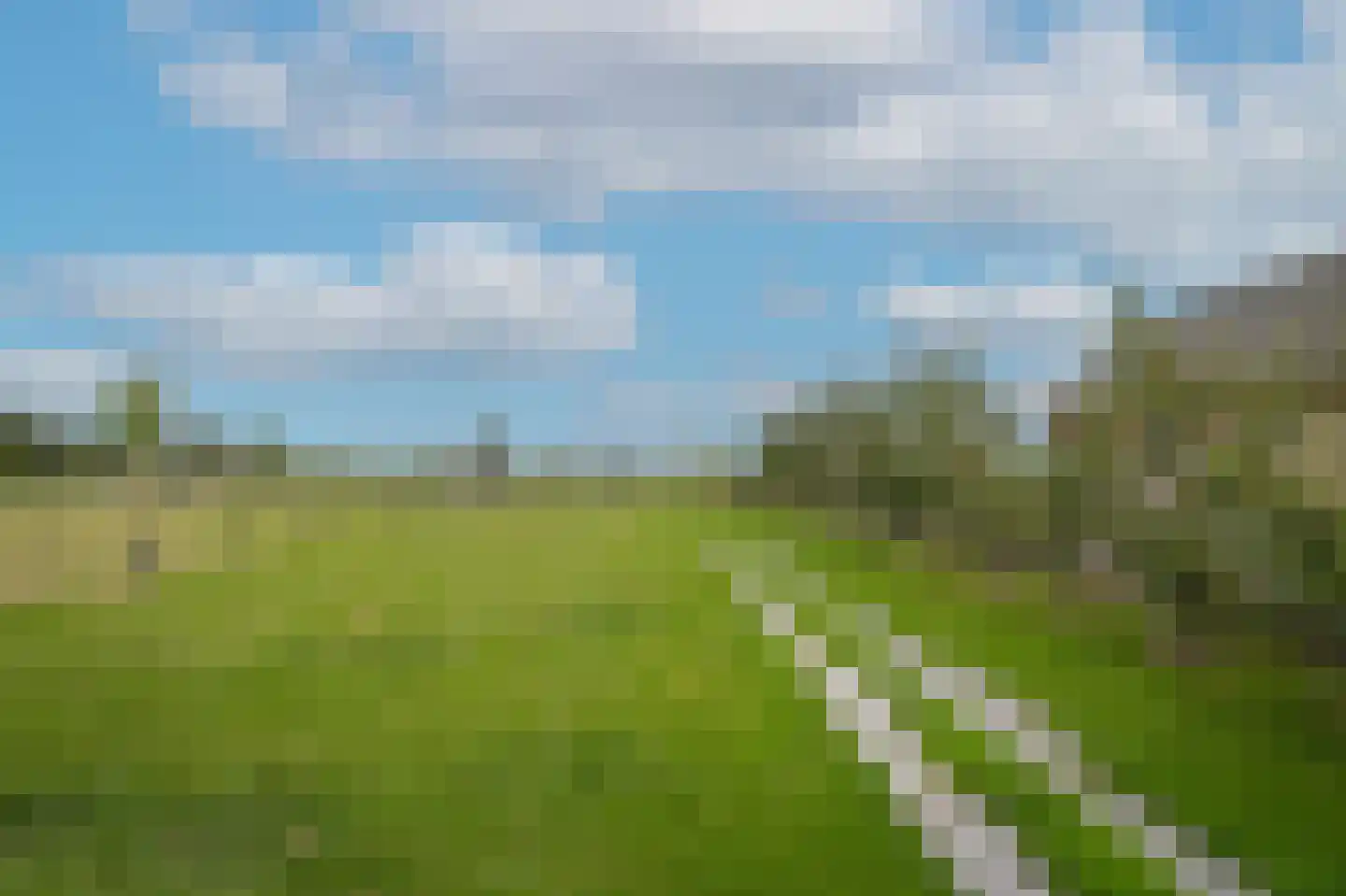 Duizendmorgen Andel thumbnail 7