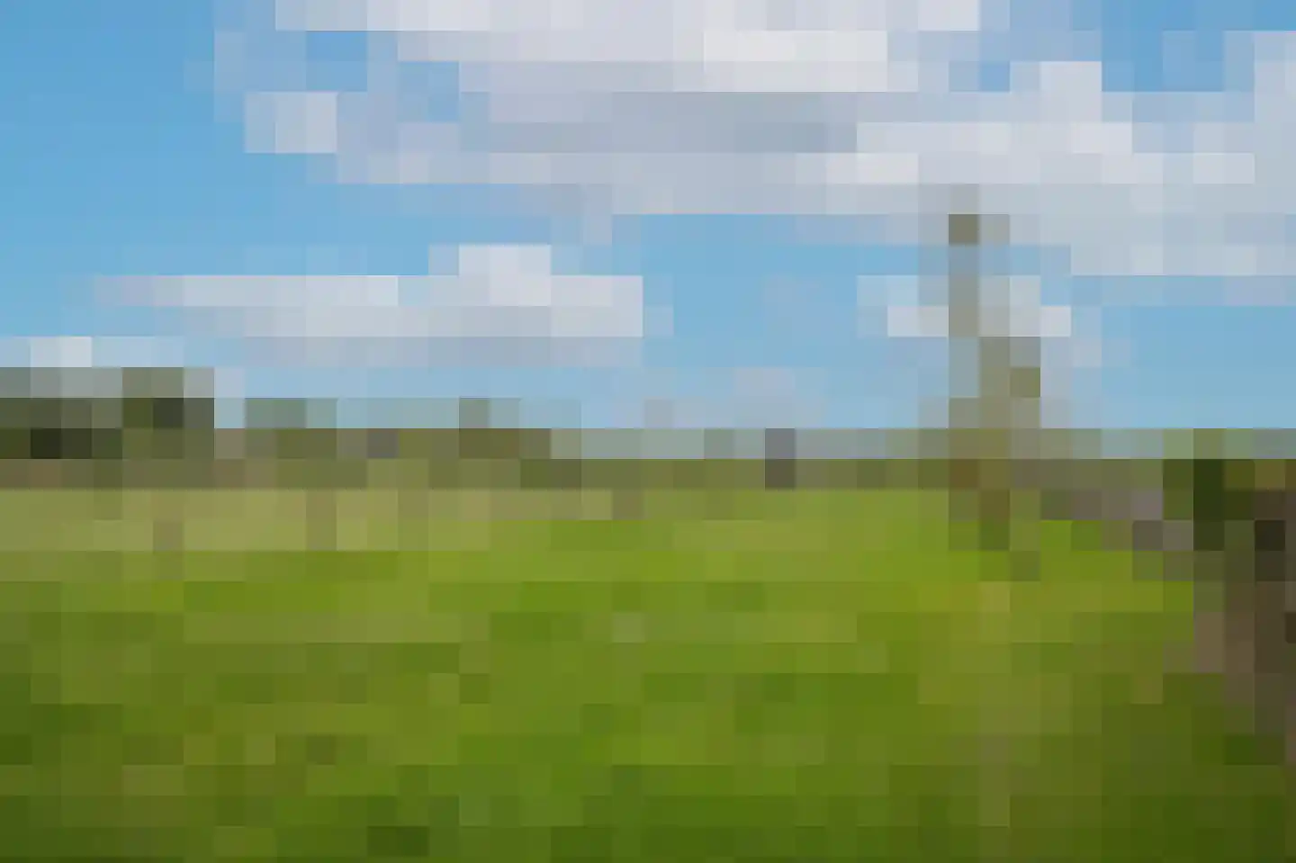 Duizendmorgen Andel thumbnail 9