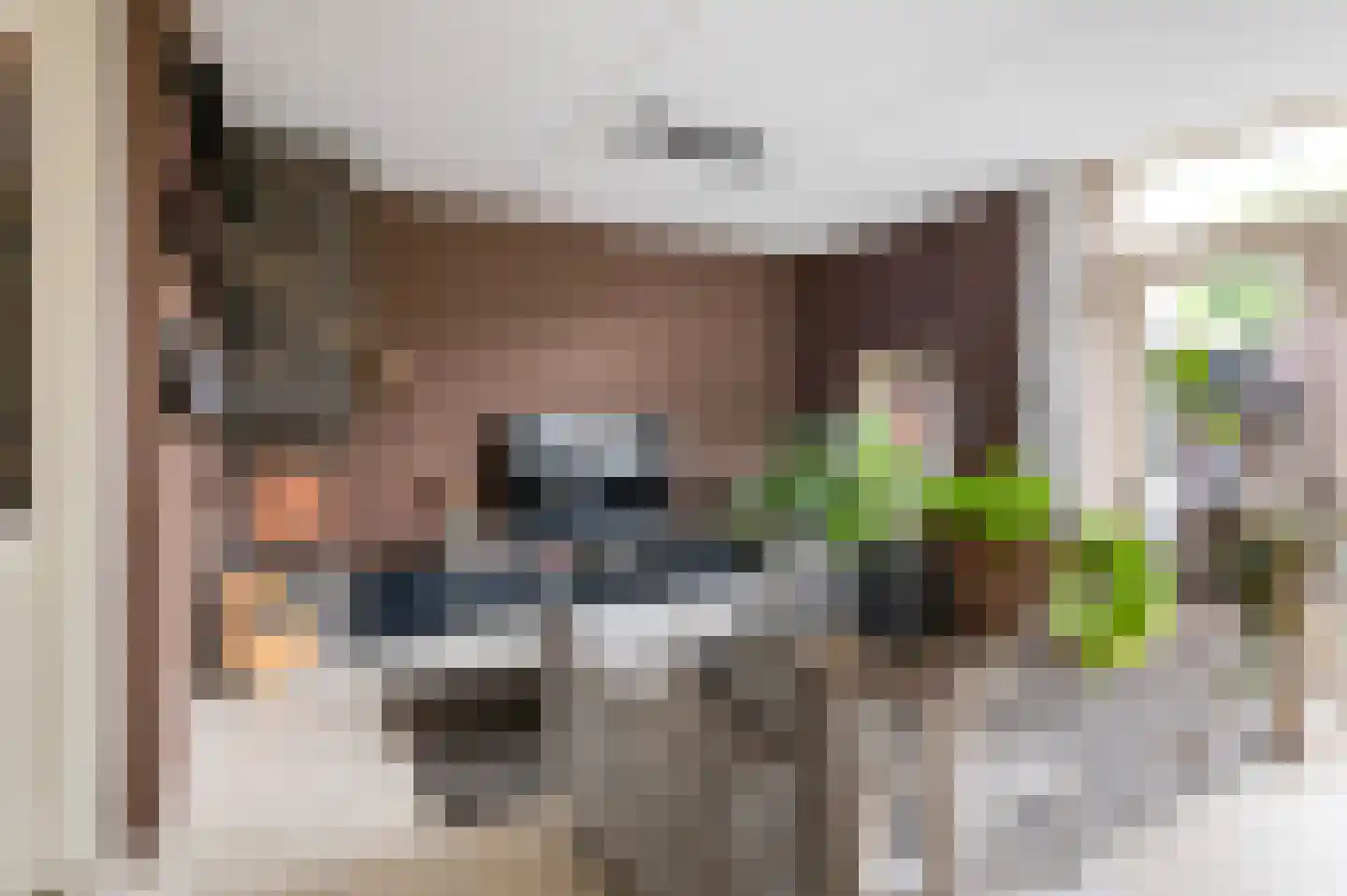 Duizendpoot 28 Hengelo thumbnail 13