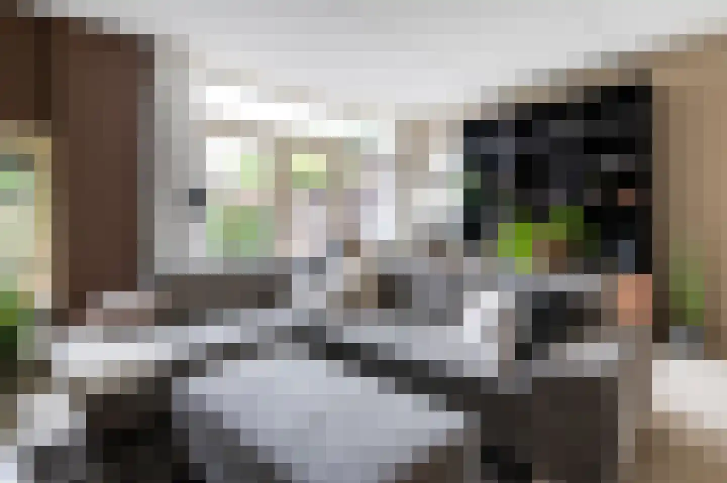 Duizendpoot 28 Hengelo thumbnail 17