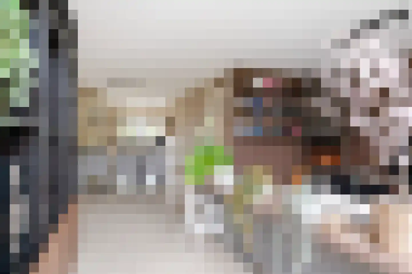 Duizendpoot 28 Hengelo thumbnail 18