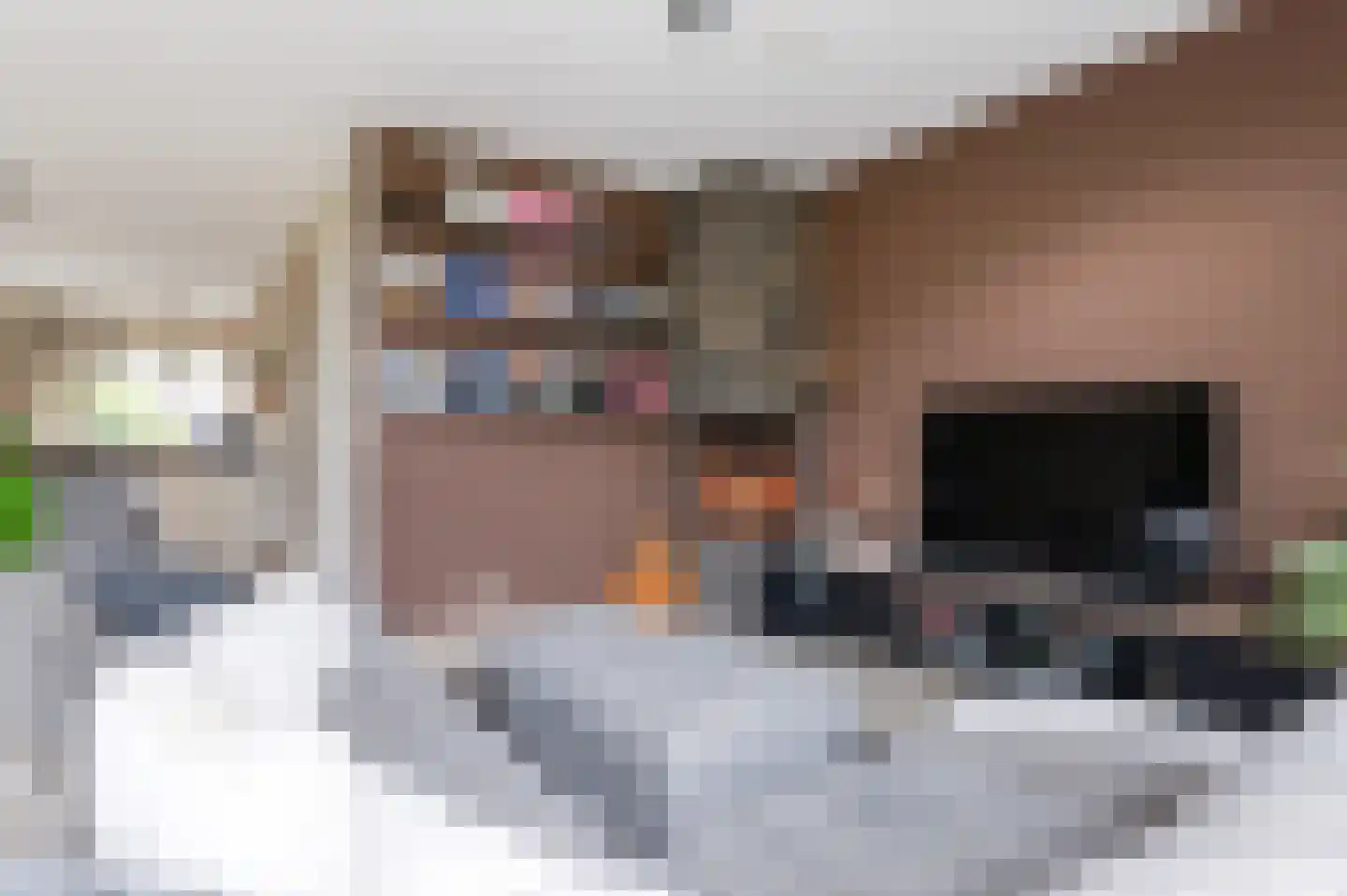 Duizendpoot 28 Hengelo thumbnail 19