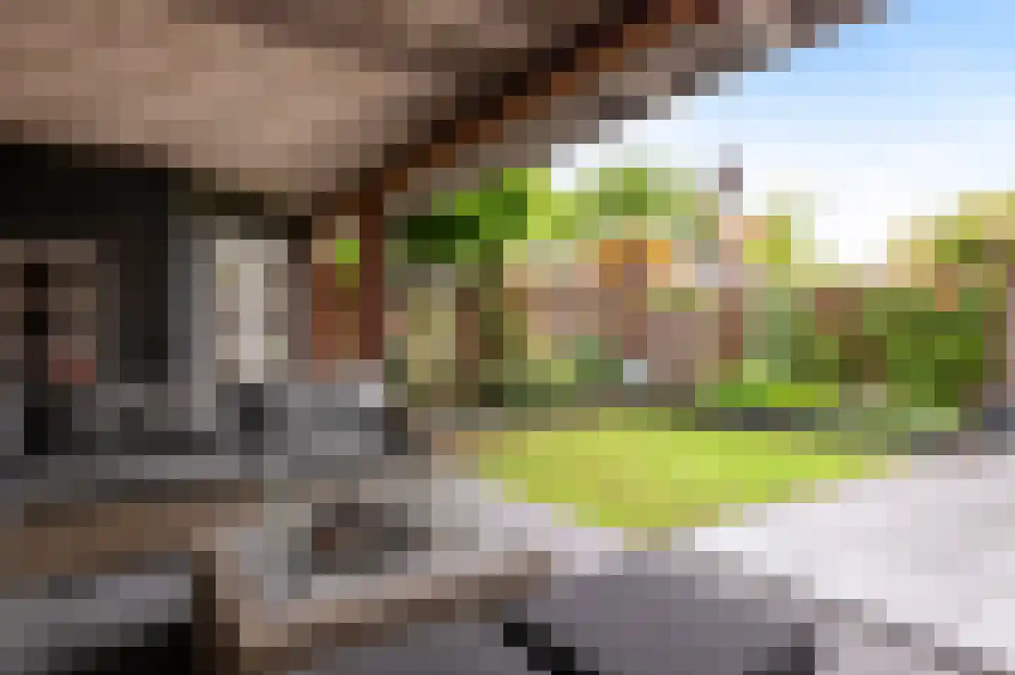 Duizendpoot 28 Hengelo thumbnail 46