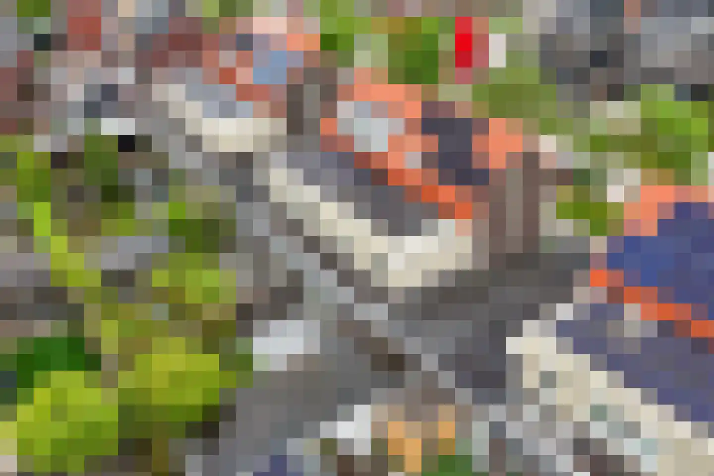 Duizendpoot 28 Hengelo thumbnail 51