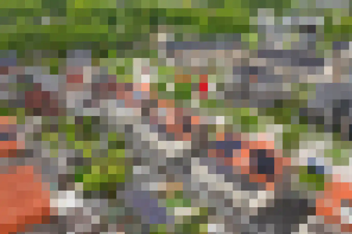 Duizendpoot 28 Hengelo thumbnail 52