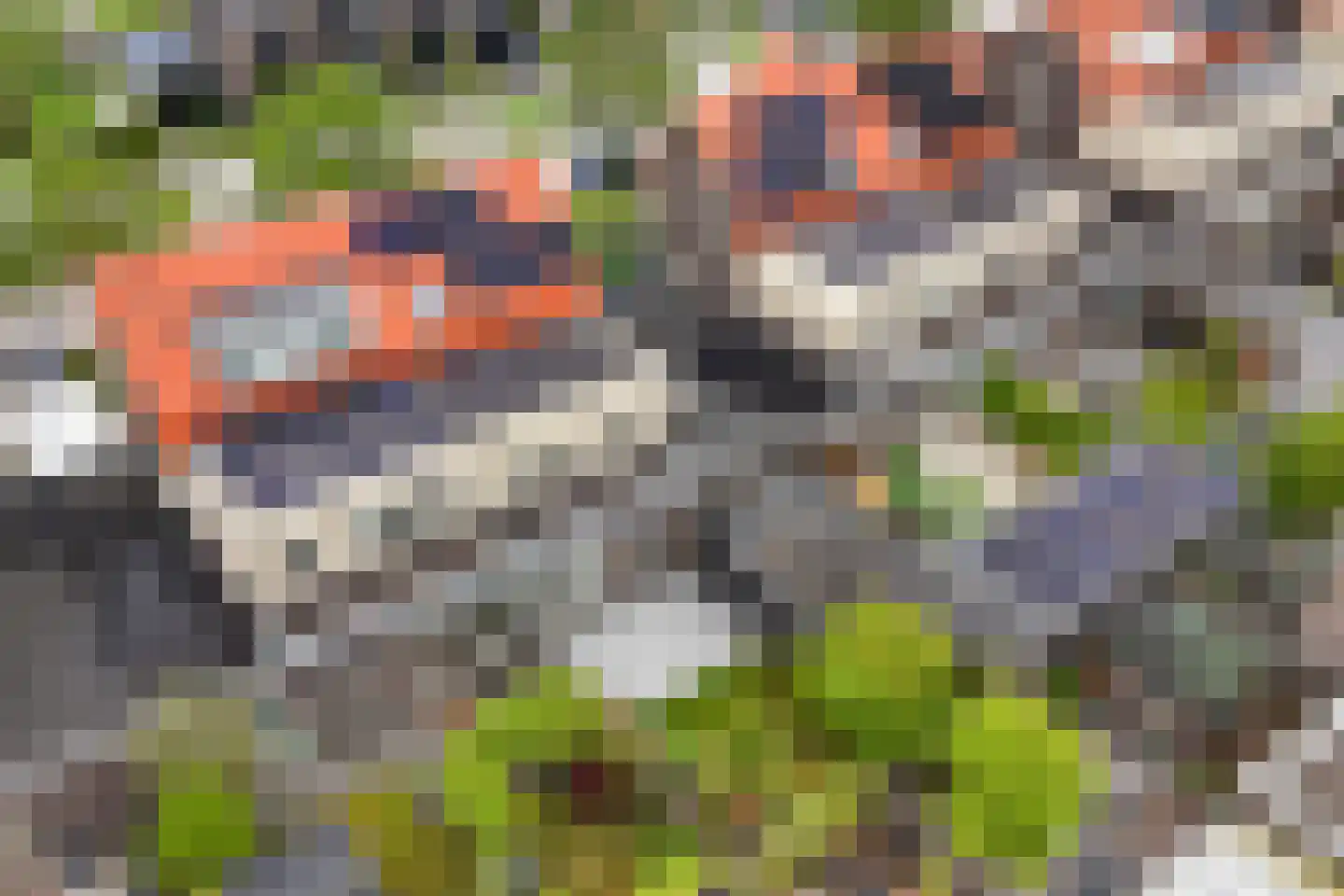 Duizendpoot 28 Hengelo thumbnail 53