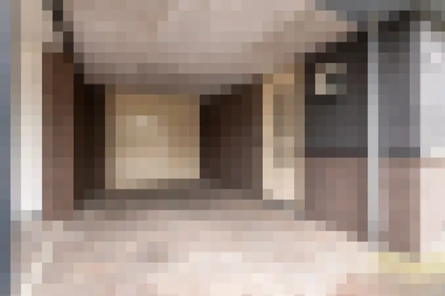 Duizendpoot 28 Hengelo thumbnail 8