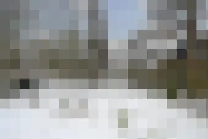 Duizendroed 23 Enkhuizen thumbnail 23