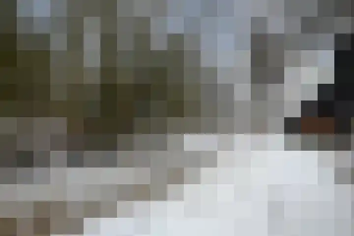 Duizendroed 23 Enkhuizen thumbnail 24