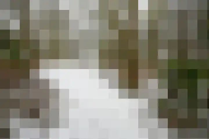 Duizendroed 23 Enkhuizen thumbnail 25