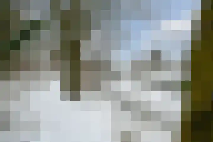 Duizendroed 23 Enkhuizen thumbnail 26