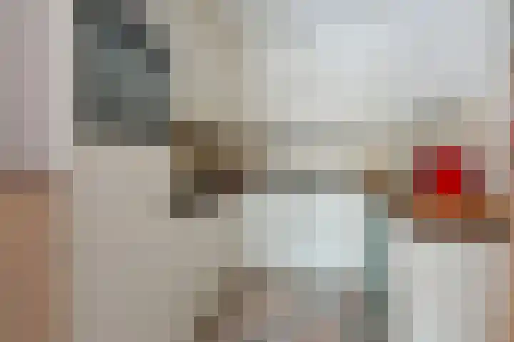 Duizendroed 23 Enkhuizen thumbnail 6