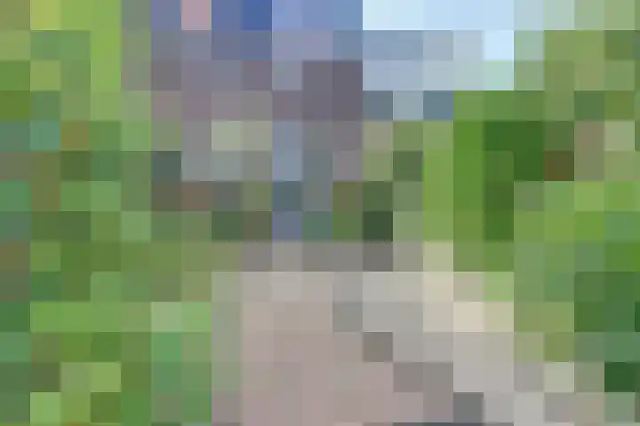 Duizendroed 48 Enkhuizen thumbnail 32