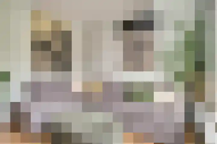 Duizendroed 48 Enkhuizen thumbnail 6