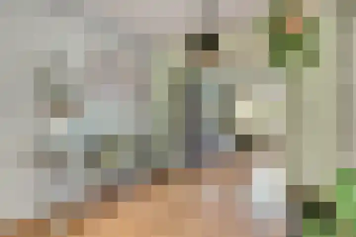 Duizendroed 48 Enkhuizen thumbnail 8