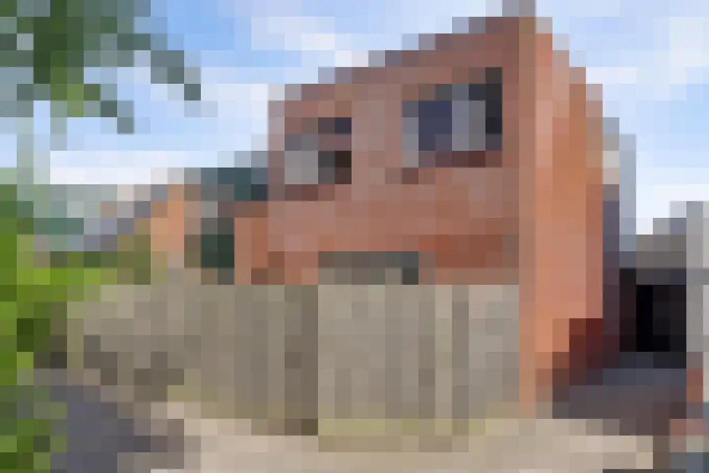 Duizendroed 52 Enkhuizen thumbnail 35