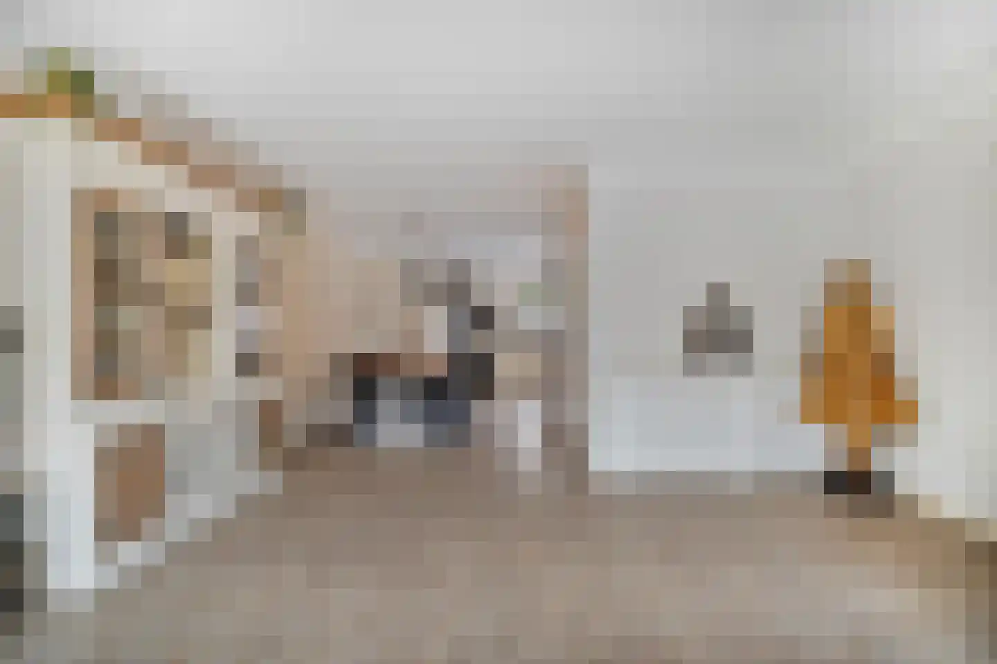 Duizendroed 6 Enkhuizen thumbnail 13