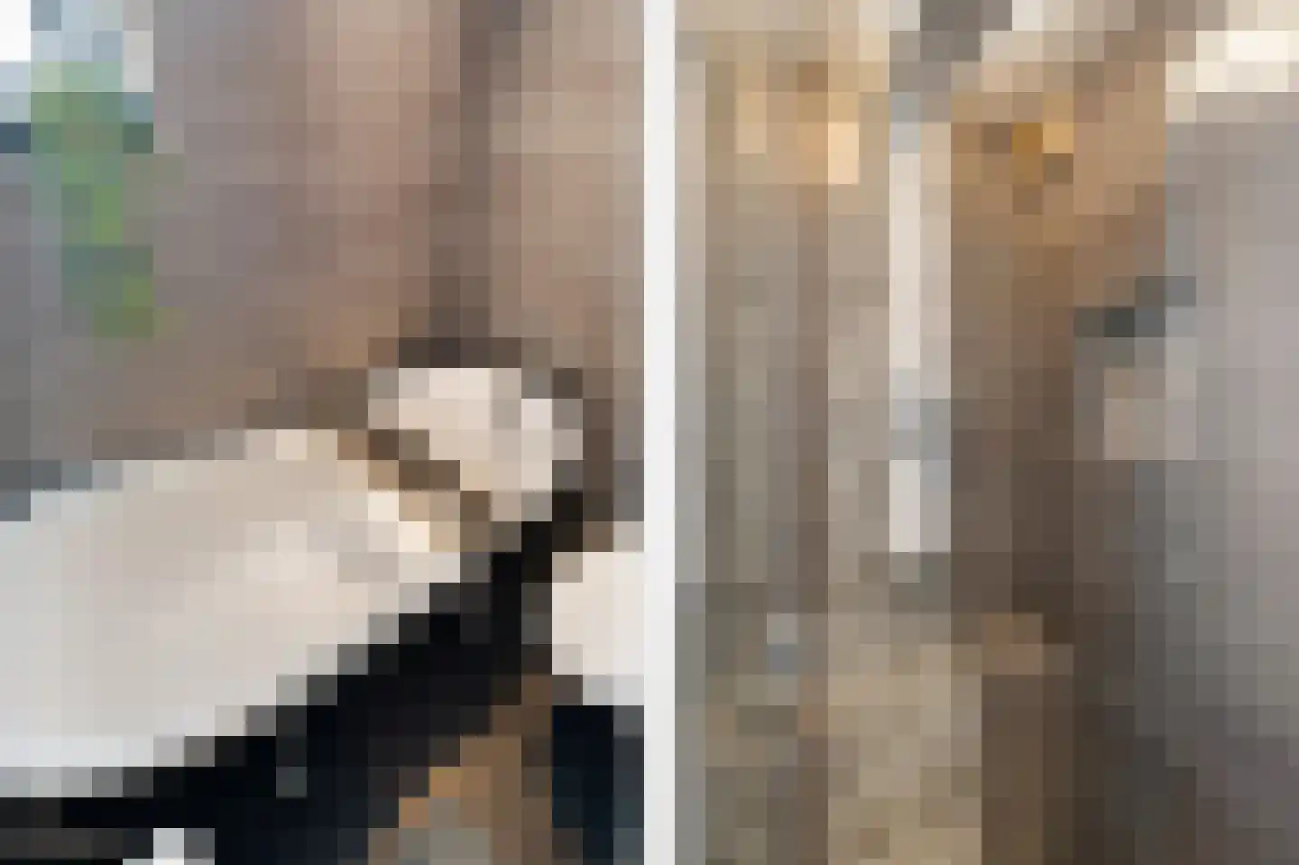 Duizendroed 6 Enkhuizen thumbnail 32