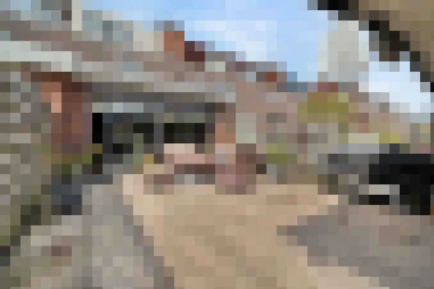 Duizendroed 6 Enkhuizen thumbnail 37