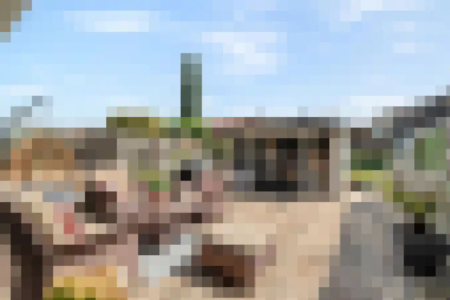 Duizendroed 6 Enkhuizen thumbnail 4