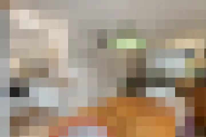 Duizendschoon 12 Apeldoorn thumbnail 16