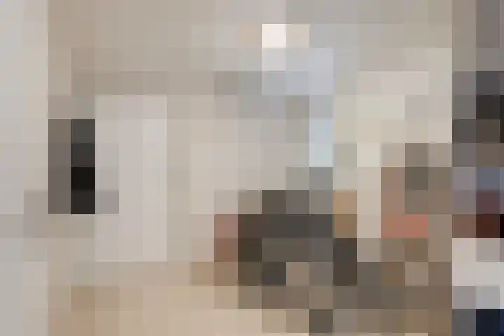 Duizendschoon 12 Apeldoorn thumbnail 20