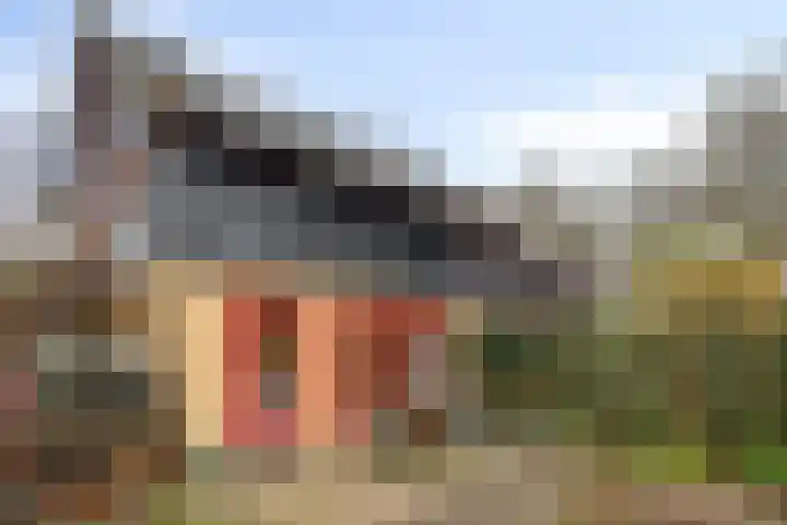 Duizendschoon 12 Apeldoorn thumbnail 38