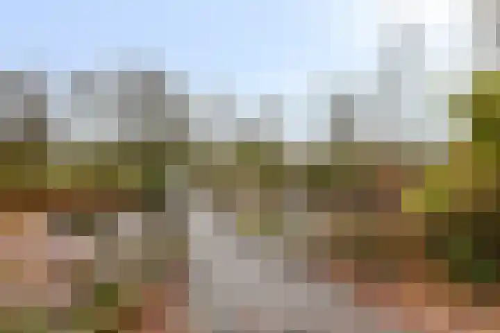 Duizendschoon 12 Apeldoorn thumbnail 4