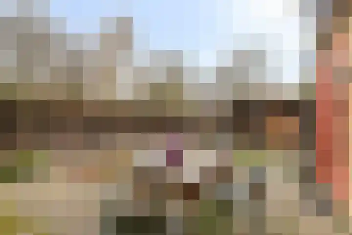 Duizendschoon 12 Apeldoorn thumbnail 41