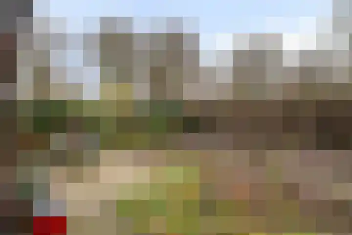 Duizendschoon 12 Apeldoorn thumbnail 42