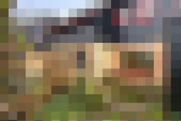 Duizendschoon 12 Apeldoorn thumbnail 43