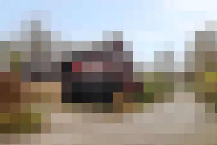 Duizendschoon 12 Apeldoorn thumbnail 44