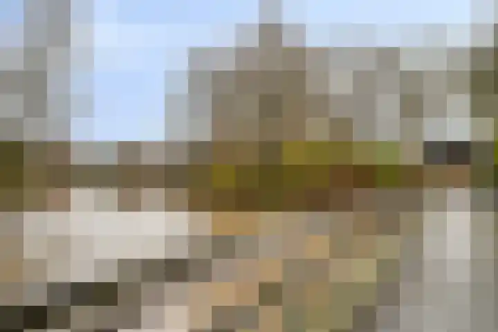Duizendschoon 12 Apeldoorn thumbnail 45