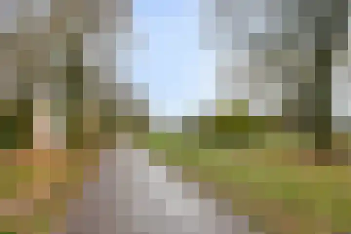 Duizendschoon 12 Apeldoorn thumbnail 47