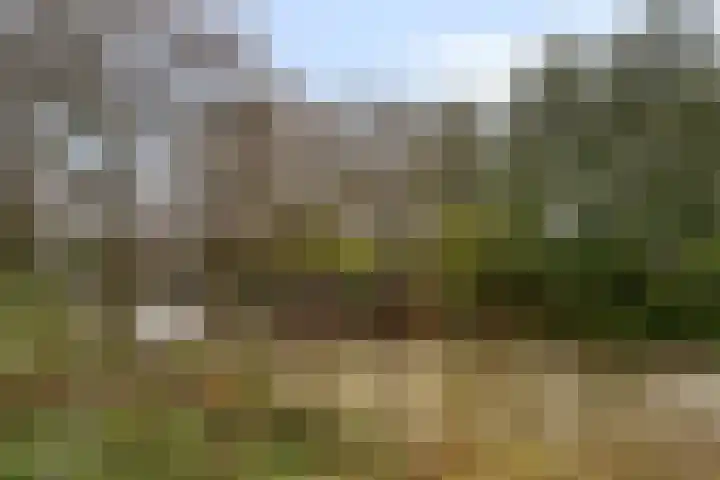 Duizendschoon 12 Apeldoorn thumbnail 48