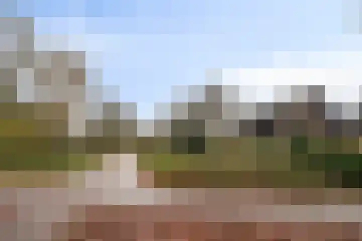 Duizendschoon 12 Apeldoorn thumbnail 5