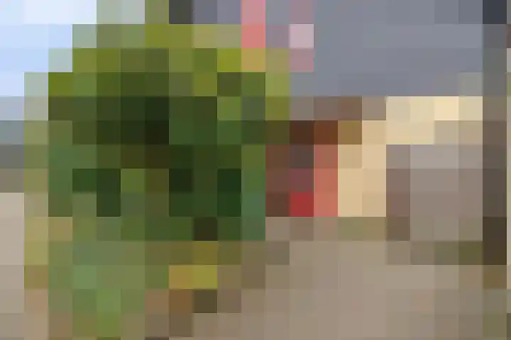 Duizendschoon 12 Apeldoorn thumbnail 6
