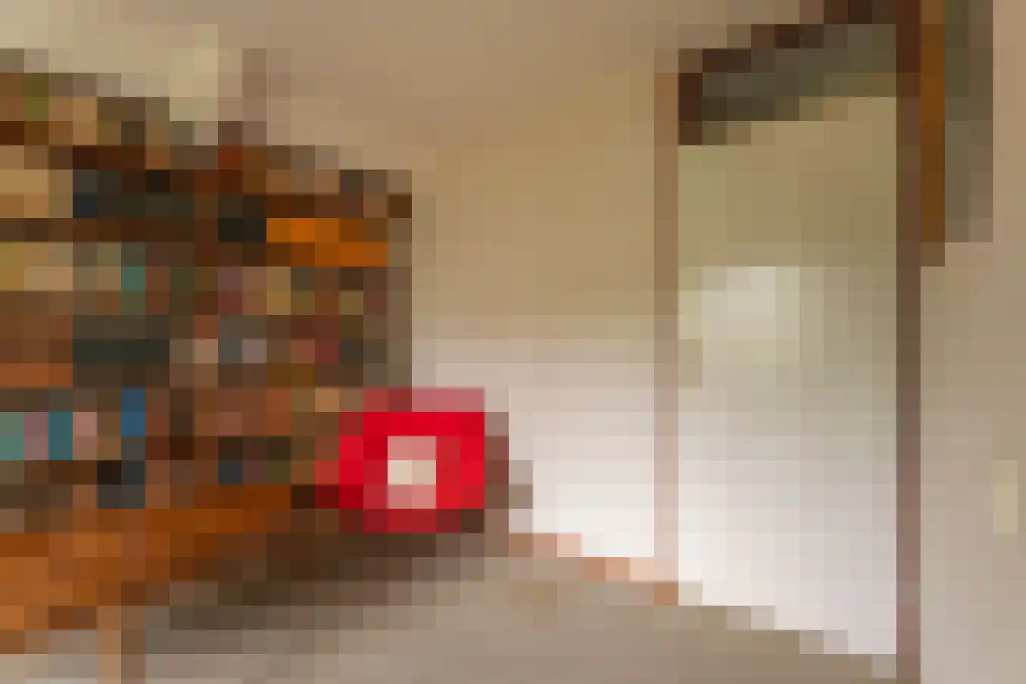 Duizendschoon 29 Rijnsburg thumbnail 14