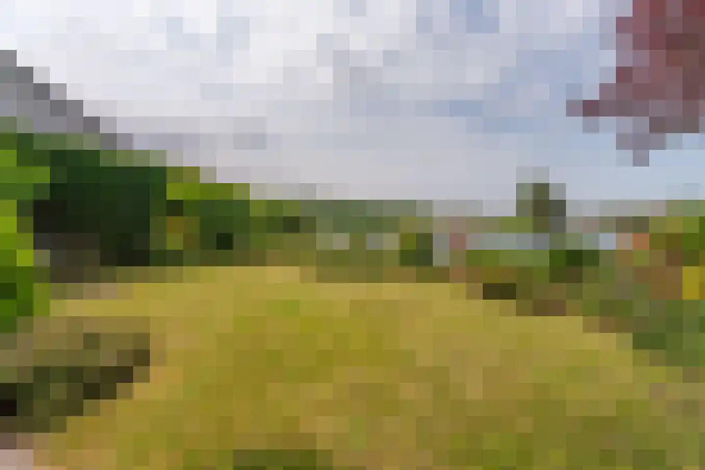 Duizendschoon 29 Rijnsburg thumbnail 27