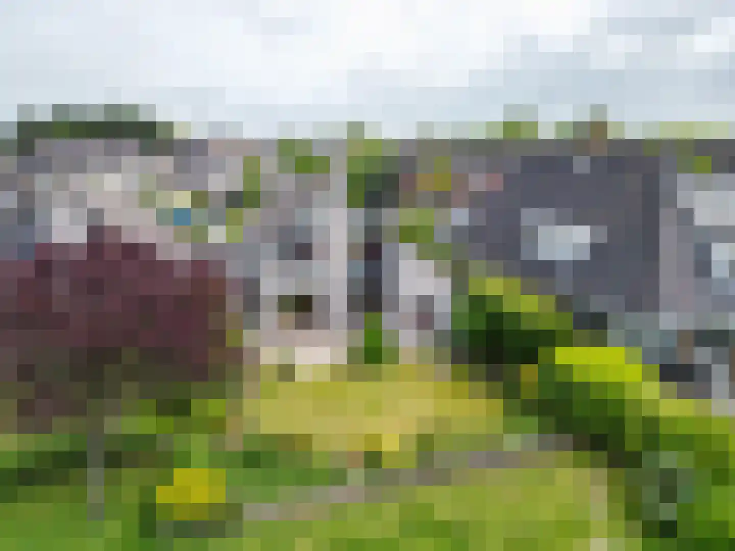 Duizendschoon 29 Rijnsburg thumbnail 33