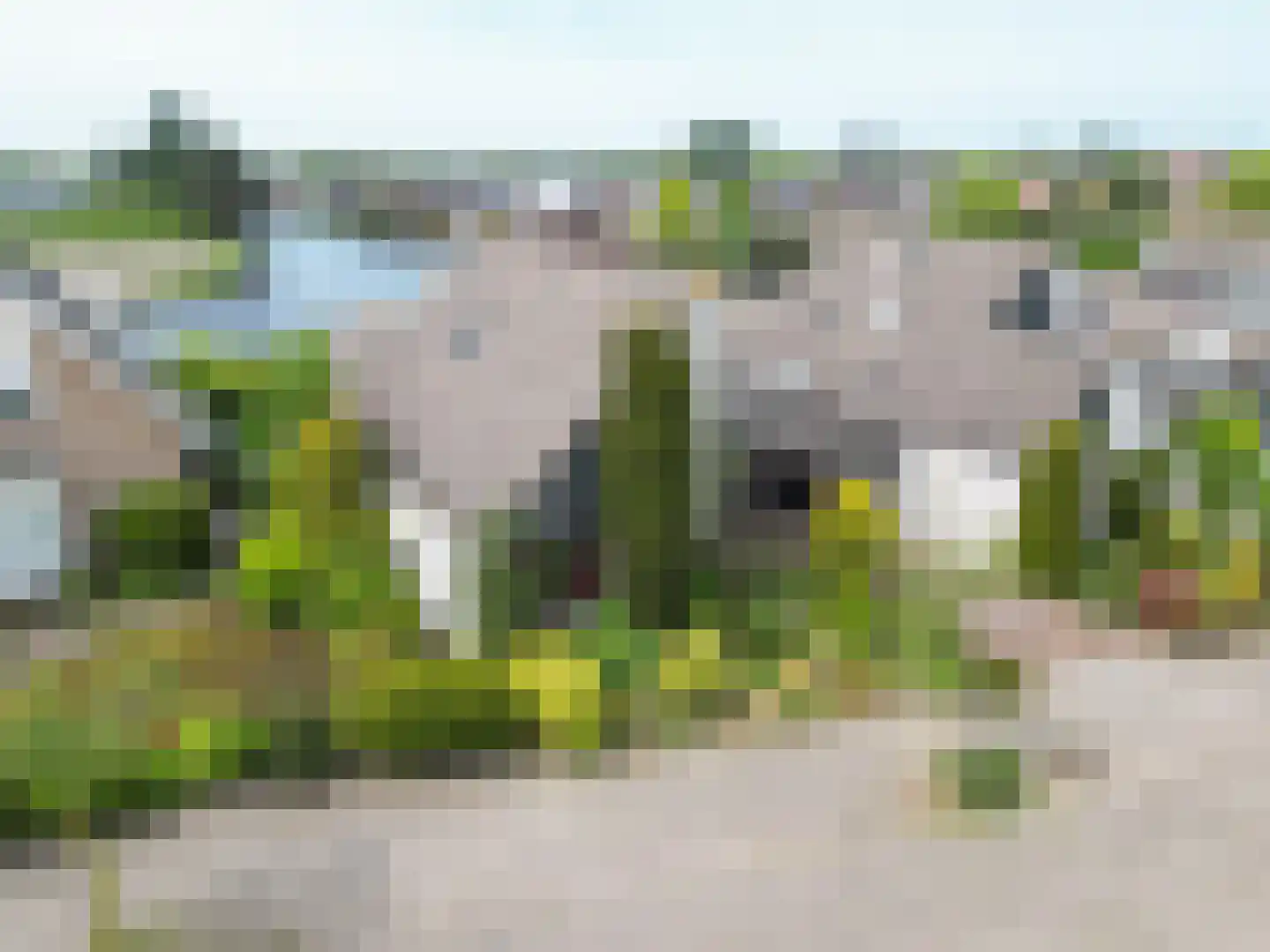 Duizendschoon 29 Rijnsburg thumbnail 34