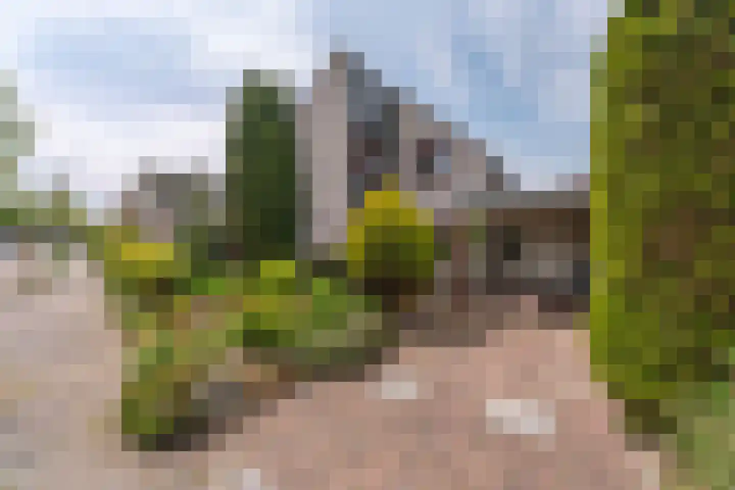 Duizendschoon 29 Rijnsburg thumbnail 35