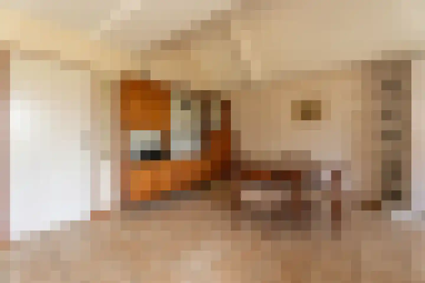Duizendschoon 29 Rijnsburg thumbnail 7