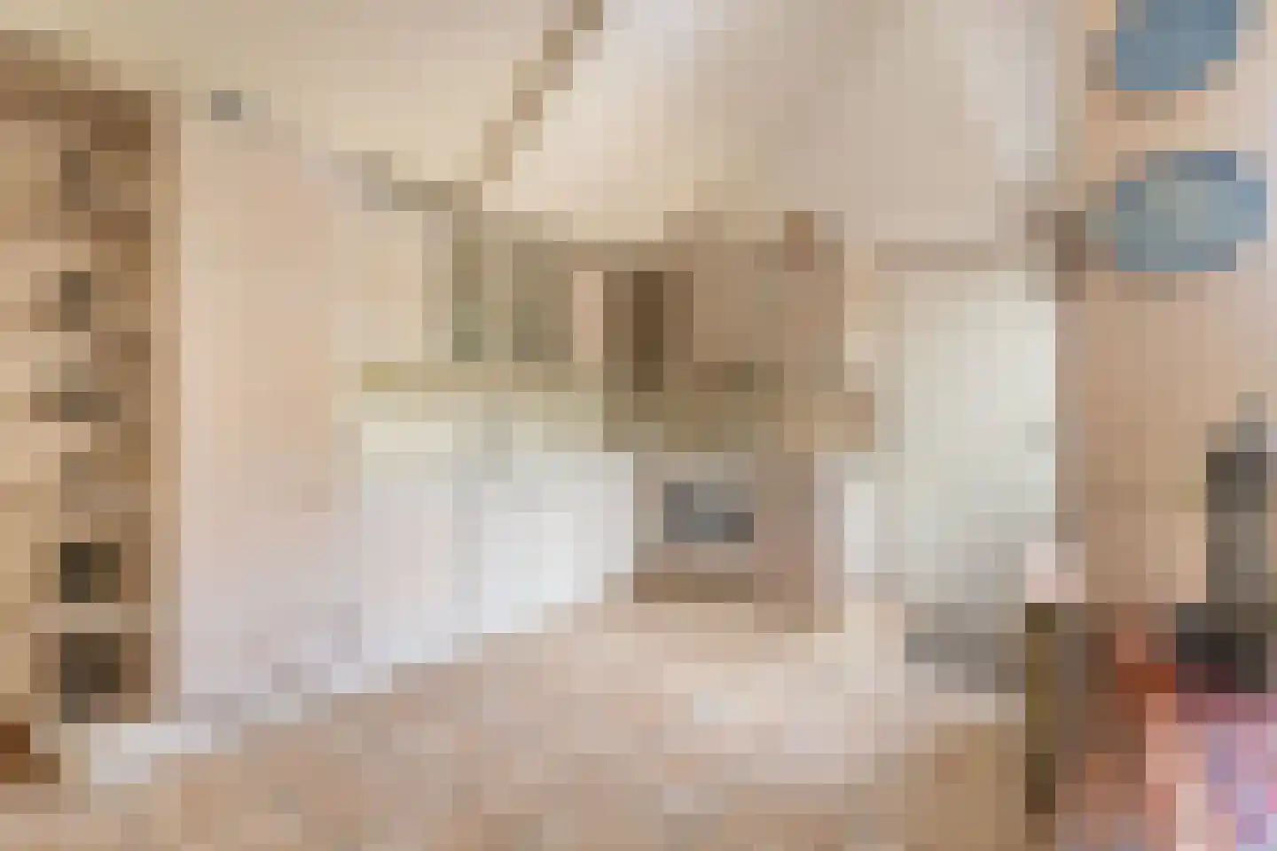 Duizendschoon 29 Rijnsburg thumbnail 8