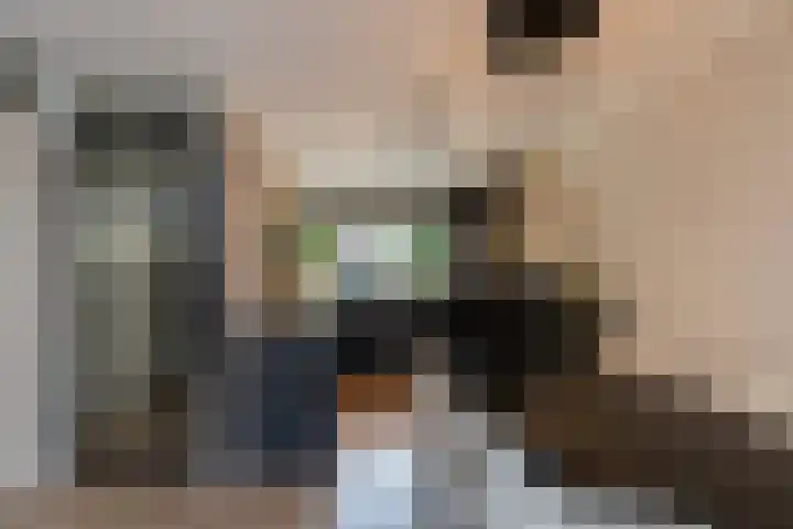 Duizendschoon 3 Hendrik-Ido-Ambacht thumbnail 12