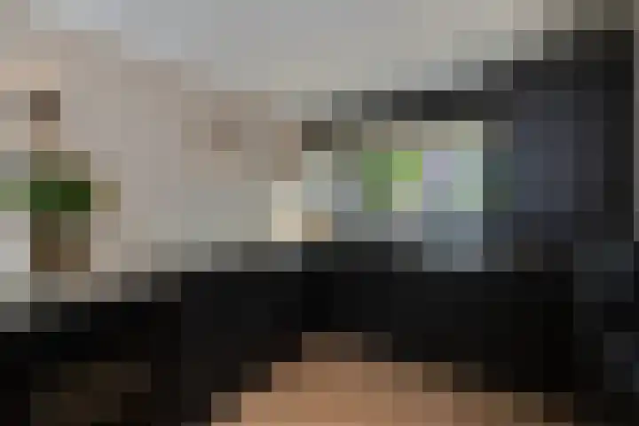 Duizendschoon 3 Hendrik-Ido-Ambacht thumbnail 13