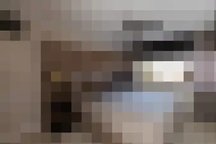 Duizendschoon 3 Hendrik-Ido-Ambacht thumbnail 14