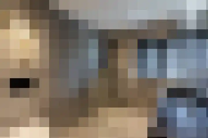 Duizendschoon 3 Hendrik-Ido-Ambacht thumbnail 18