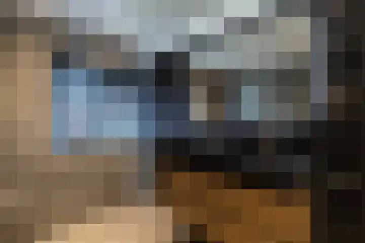 Duizendschoon 3 Hendrik-Ido-Ambacht thumbnail 19