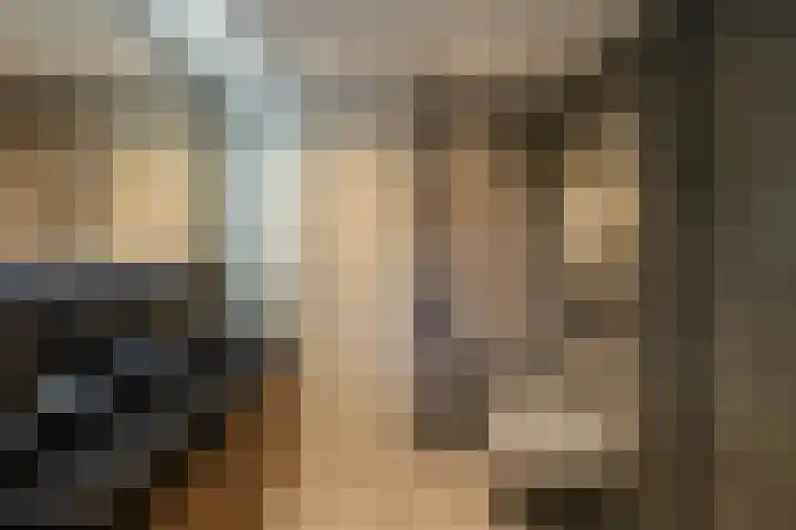 Duizendschoon 3 Hendrik-Ido-Ambacht thumbnail 21